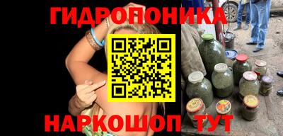 a pvp Можга