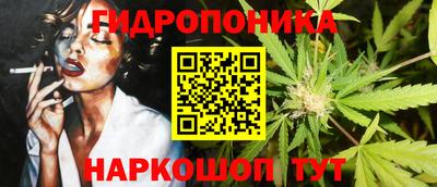 гашик Кандалакша