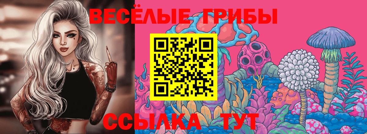 Галлюциногенные грибы Cubensis  Галлюциногенные грибы Psilocybine cubensis  Гурьевск  Вход с VPN 